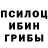 Галлюциногенные грибы прущие грибы ARNO4EK