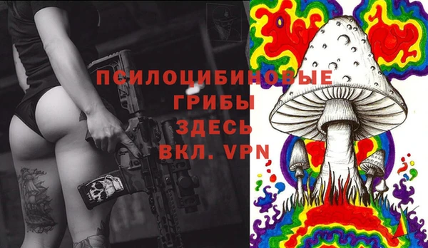 экстази Алексин