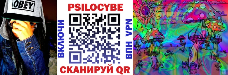 Псилоцибиновые грибы ЛСД  где найти   Олонец 