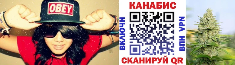 дарнет шоп Олонец Бошки Шишки сатива